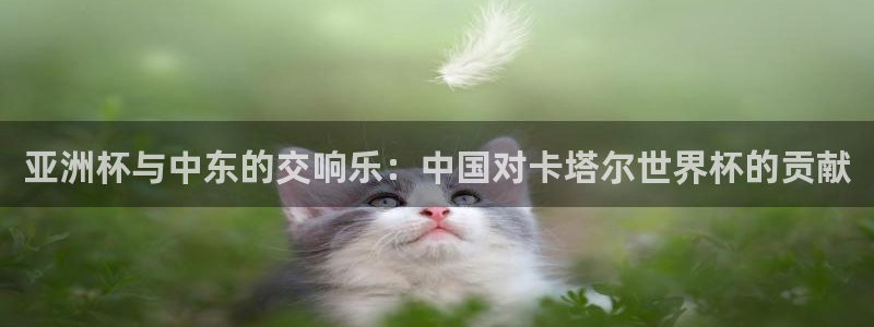 世界杯对阵图2026：亚洲杯与中东的交响乐：中国对卡塔尔世界杯的贡献