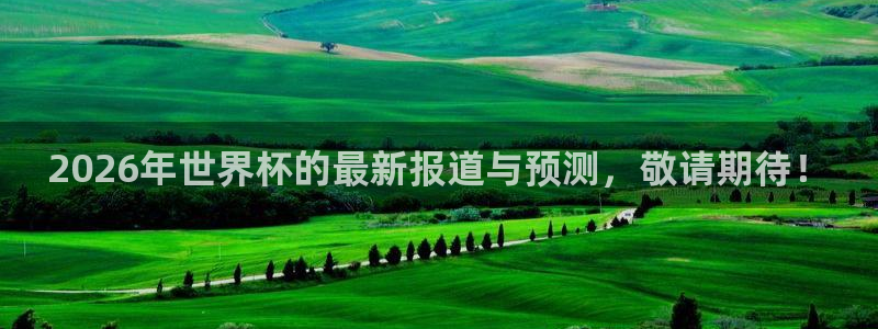 世界杯球赛：2026年世界杯的最新报道与预测，敬请期待！