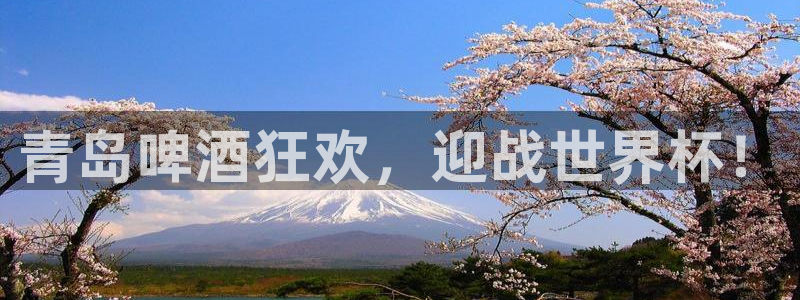 足球世界杯时间：青岛啤酒狂欢，迎战世界杯！