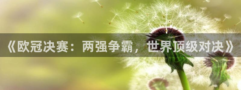 2026世界杯官网入口：《欧冠决赛：两强争霸，世界顶级对决》