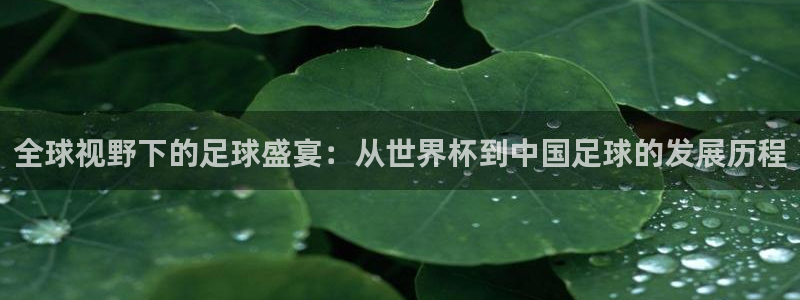 世界杯决赛预测：全球视野下的足球盛宴：从世界杯到中国足球的发展历程