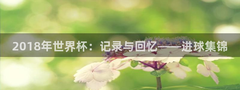 世界杯决赛圈球队：2018年世界杯：记录与回忆——进球集锦