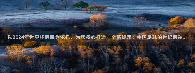 足球世预赛：以2024年世界杯冠军为依托，为您精心打造一个新标题：中国足球的世纪跨越。