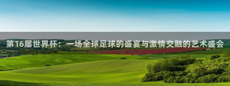 今天所有足球赛程表：第16届世界杯：一场全球足球的盛宴与激情交融的艺术盛会