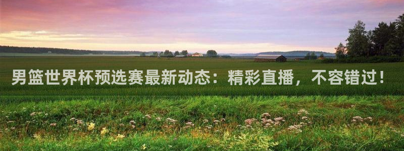 世界杯决赛圈球队：男篮世界杯预选赛最新动态：精彩直播，不容错过！