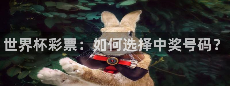 世界杯决赛预测：世界杯彩票：如何选择中奖号码？
