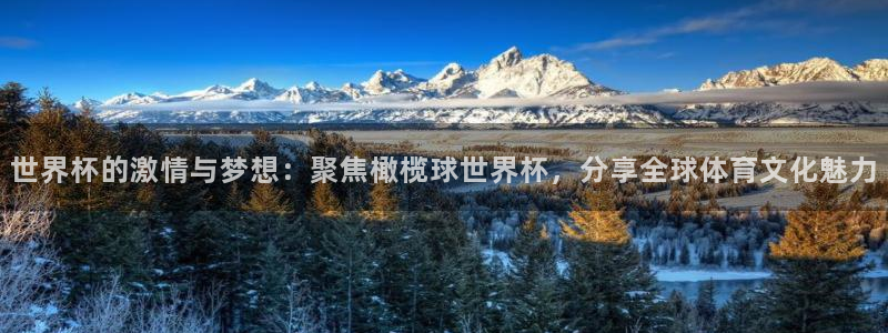 世界杯欧洲区世预赛赛程：世界杯的激情与梦想：聚焦橄榄球世界杯，分享全球体育文化魅力