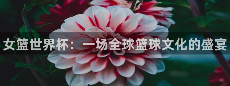 美洲杯直播：女篮世界杯：一场全球篮球文化的盛宴